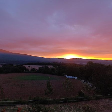 Mas Pitre Bed & Breakfast Besalu Bagian luar foto